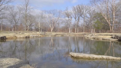 Still pond in a park