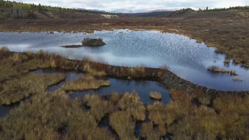 Aerial view of a beaver dam found in British Columbia, Canada