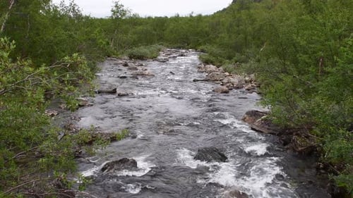 Cinematic amazing rapid view of Finland. Water flows in river rapid. No people, steady static camera