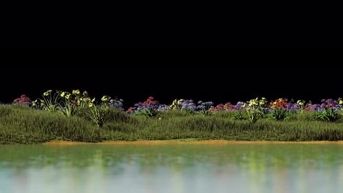 Frühlingsglück mit blühenden Blumen auf transparentem Hintergrund