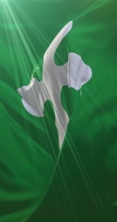 Abstract Fluid Green and White Flag Motion Background