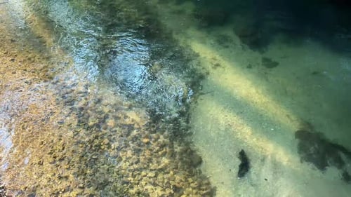 Stream of running river water in woodland
