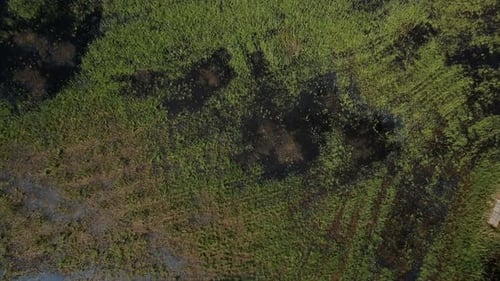 Aerial View of Bog Lands Near the River Valley