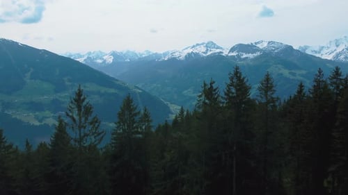 Aerial drone above a forest and trees in nature at scenic Zillertal skiing sport hiking and trekking