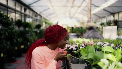 Woman Tends to Plants in Greenhouse Nursery