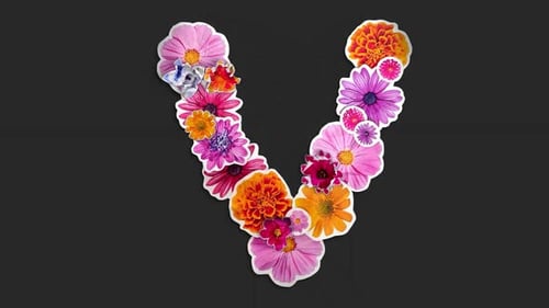 Paper Flowers Letter V