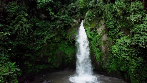 Waterfall Hidden in Tropical Rainforest Jungle