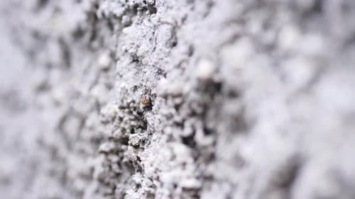 textura de pared de cerca, cámara lenta