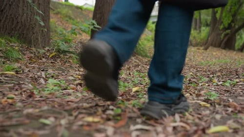 Autumn Forest Footsteps and Exploration Solitary Trek Across Leafladen Woodland Terrain Silent