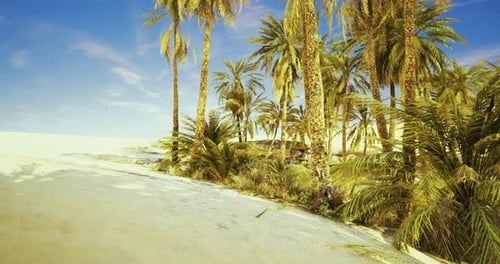 Bright Tropical Landscape Featuring Palm Trees and Sandy Beach Under Clear Sky