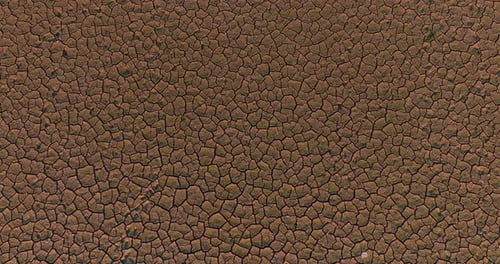Top View of Cracked Earth During Drought