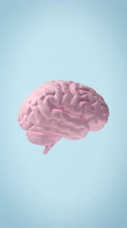 Human brain rotating on blue background.