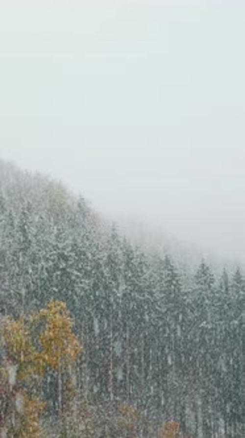 Schneefall im Winter, schwere Schneeflocken fallen auf Bäume. Vertikales Video