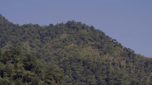 Lush Green Mountainside Under Clear Blue Sky
