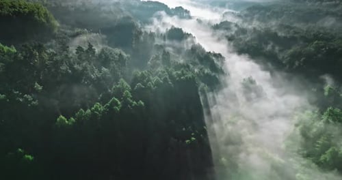 Aerial view of fog in valley at sunrise in autumn.