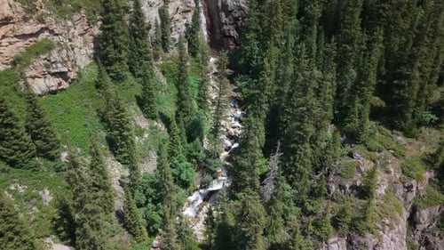 Waterfall Cascading Down Rocky Cliffs in a Coniferous Forest