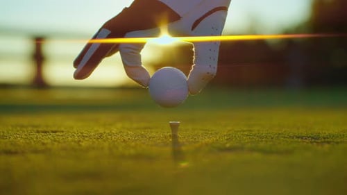 Golfer Placing Golf Ball on the Tee at Golf Course Close Up People Sport Leisure Activity Recreation