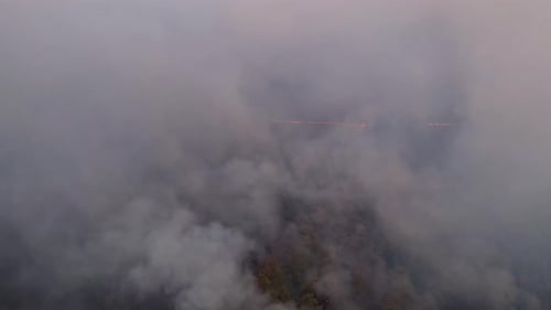 Rauch eines Waldbrandes, Naturkatastrophe