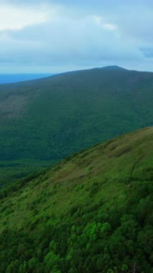 Drone Flying Over a Large Forest During the Summer Day Clip Endless Green Forested Valley