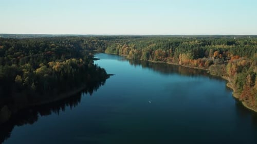 AERIAL: scenic autumn landscape with a river and colourful autumn forest