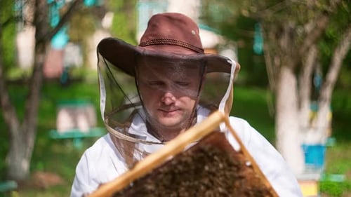Beekeeper In A Protective Cap