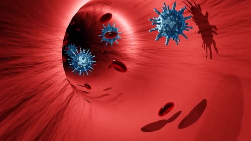 Animated Journey Through Bloodstream with Viruses and Red Blood Cells