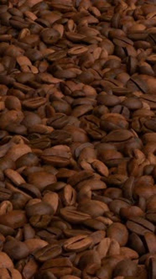 Flying Over The Coffee Beans Loop