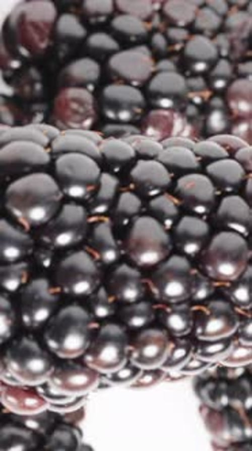 Vertical video. The view is from above on the blackberry, and the camera rises while shifting