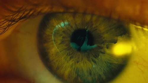 Eye Close-Up Revealing Detailed Iris Patterns