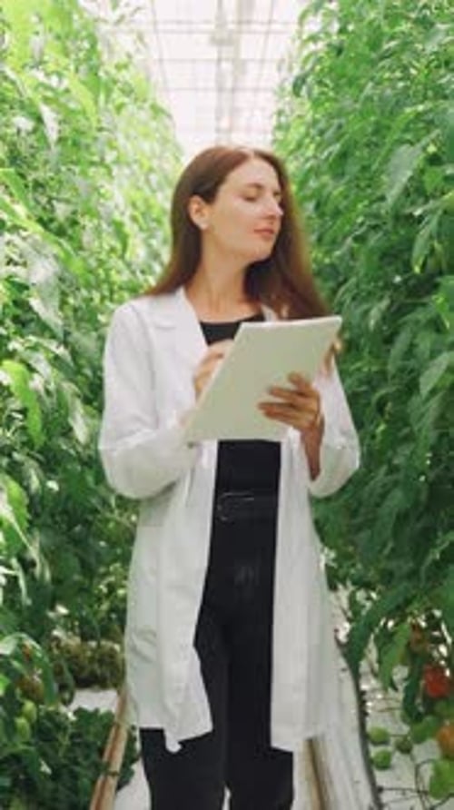 Young Adult Woman Examining Crops in Greenhouse