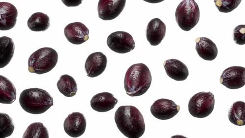 Floating Red Cabbage Vegetables Seamless Loop