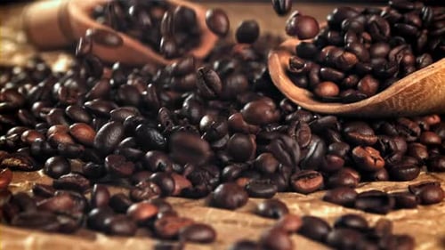 Falling Roasted Coffee Beans Close Up