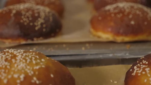 Lots of Freshly Baked Burger Buns in the Kitchen of a Restaurant or Bakery