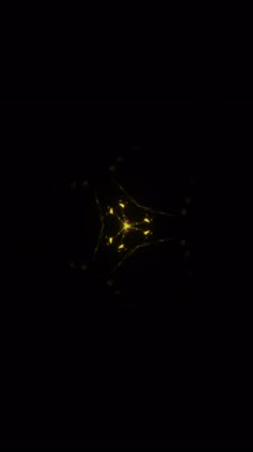 Abstract Neon Geometric Tunnel Fly-Through Animation