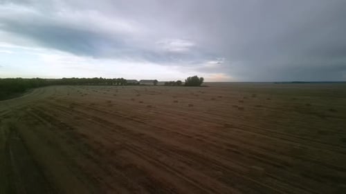 Yellow field with harvested wheat and hay bales. Aerial view of the field with square bales