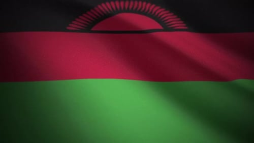 Realistic Malawi National Flag Waving Seamless Loop