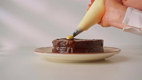 delicious freshly made chocolate Sacher or Prague cake on a white background decorated with cream