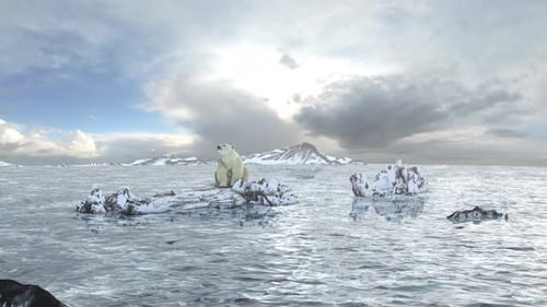 Eisbär sitzt bei schönem Tag auf Eisfelsen, Nordpollandschaft