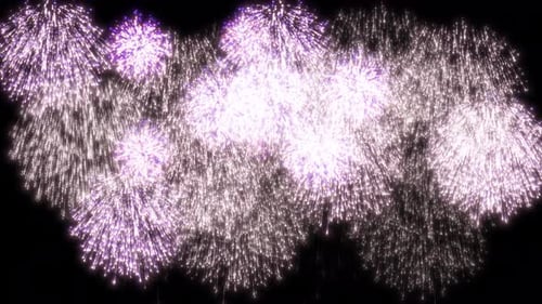Vibrant Purple and White Fireworks Bursting Animation