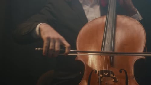 Classical Musicians Playing String Instruments