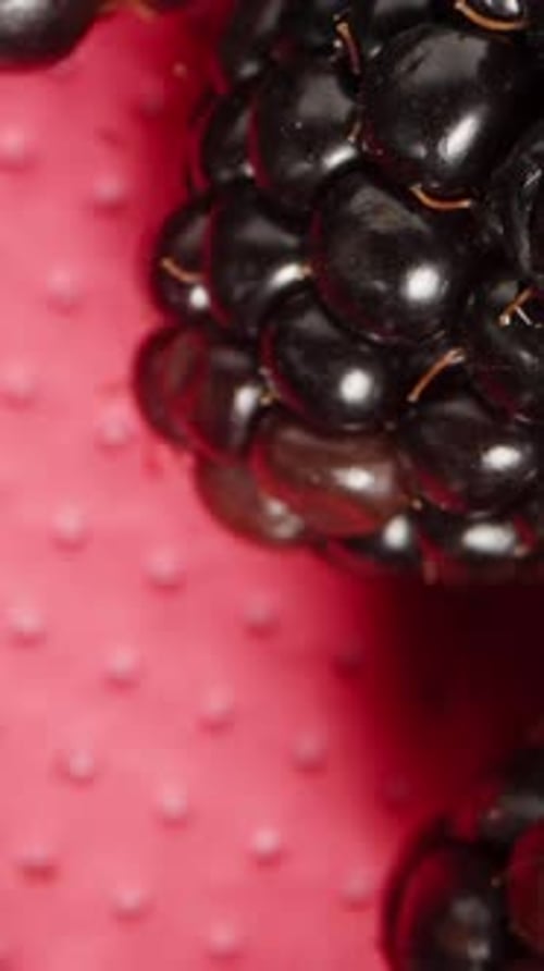 Vertical video. The camera ascends from the plastic container with blackberries inside, macro