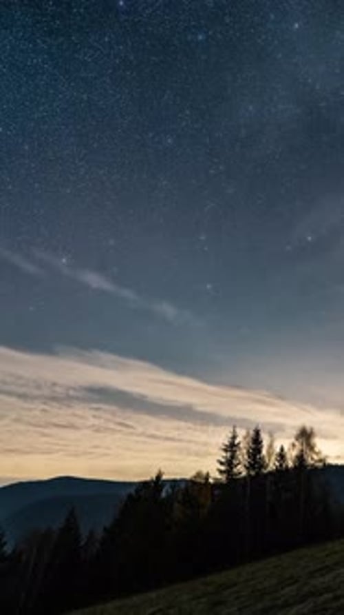 Starry Night Sky with Clouds Over Forest Nature