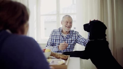 Senior Couple with Dog at Breakfast Table Indoors