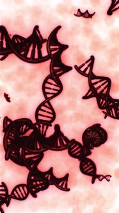 Understanding the Structure and Function of DNA in Biological Systems