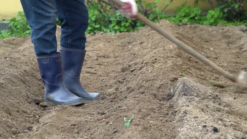 Landwirt kultiviert Boden in seinem Garten, um ihn für Pflanzensämlinge vorzubereiten