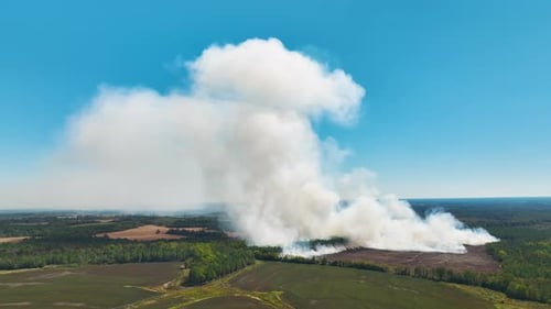 Aerial View of White Smoke From Forest Fire Rising Up Polluting Atmosphere Natural Disaster Concept