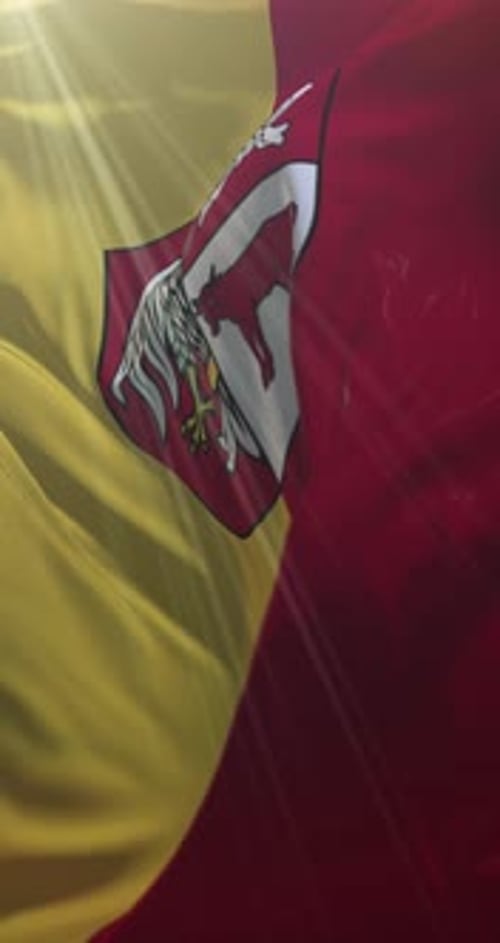Vertical Realistic Waving Flag Animation with Heraldic Emblem