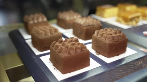 Delicious Square Chocolate Cakes in Pastry Display Case