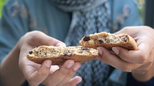 Hands Holding Broken Cookie Displaying Texture