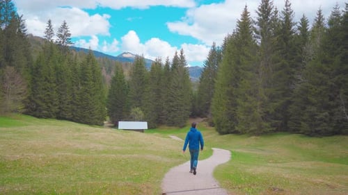 A hiker is walking in the alpine region. Hiking in the Bavarian Alps in the forest surrounded by mou